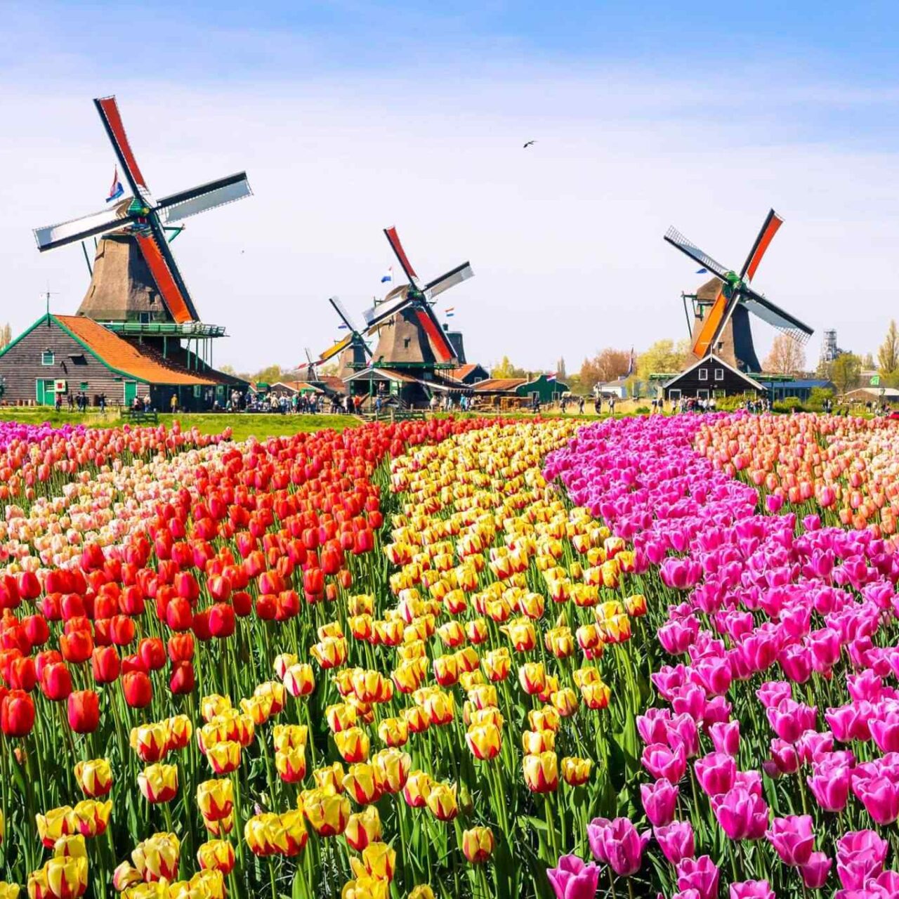 https://darulimantravel.com/wp-content/uploads/2018/09/destination-netherlands-01-1280x1280.jpg