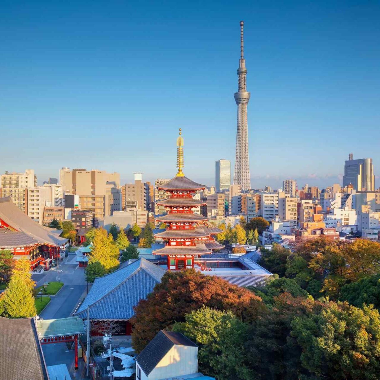 https://darulimantravel.com/wp-content/uploads/2018/09/destination-tokyo-04-1280x1280.jpg